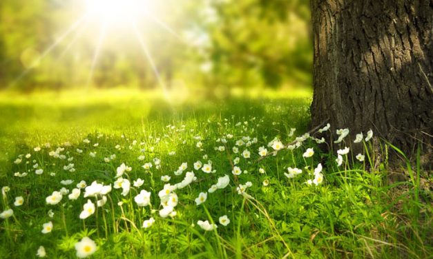 Прољеће у Библиотеци – Позив