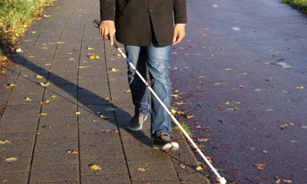 Druženje pjesnika povodom Dana bijelog štapa