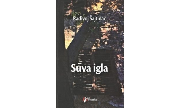 Радивој Шајтинац: Сува игла – Искази након убода
