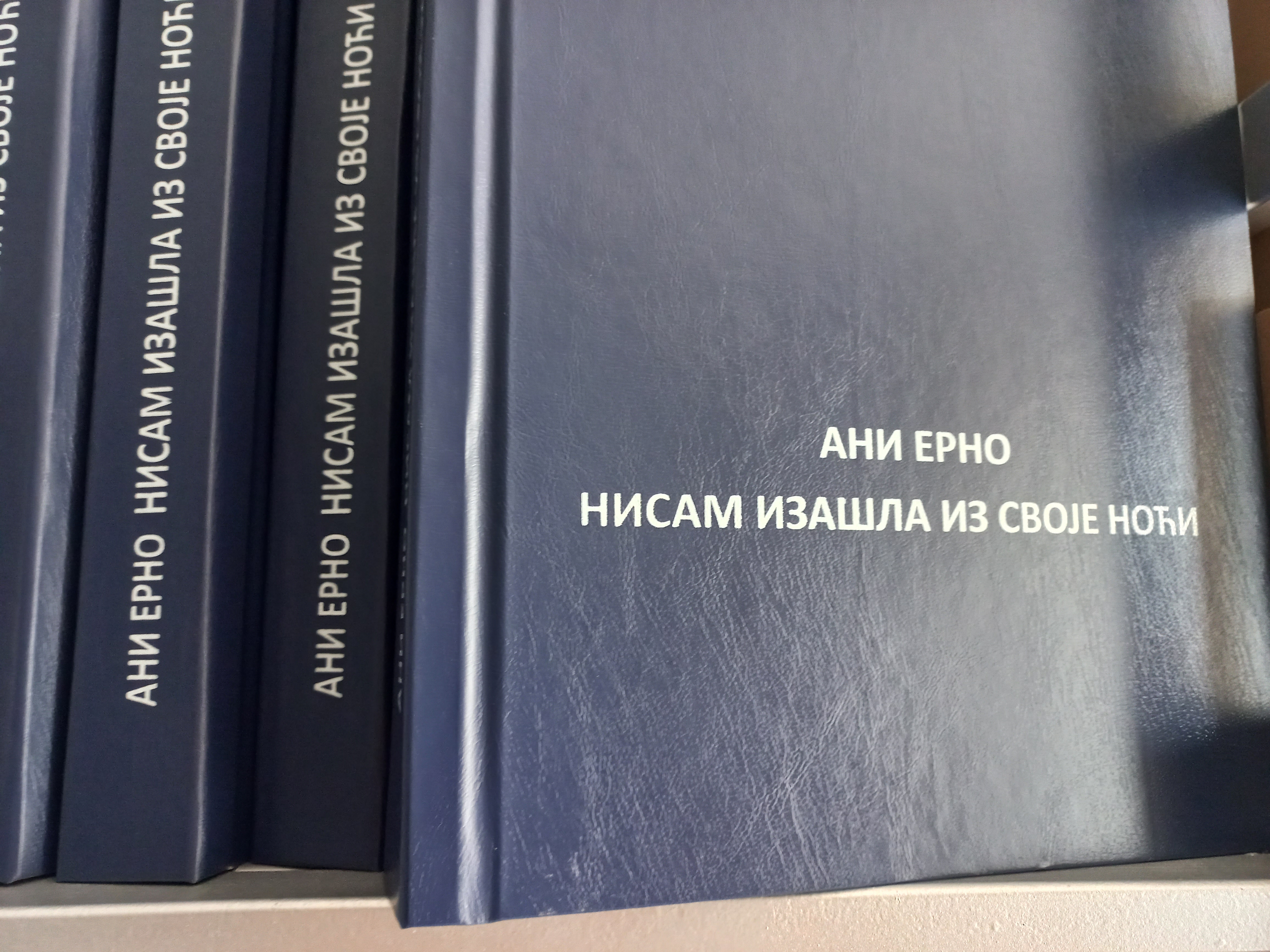 Ани Ерно: Нисам изашла из своје ноћи